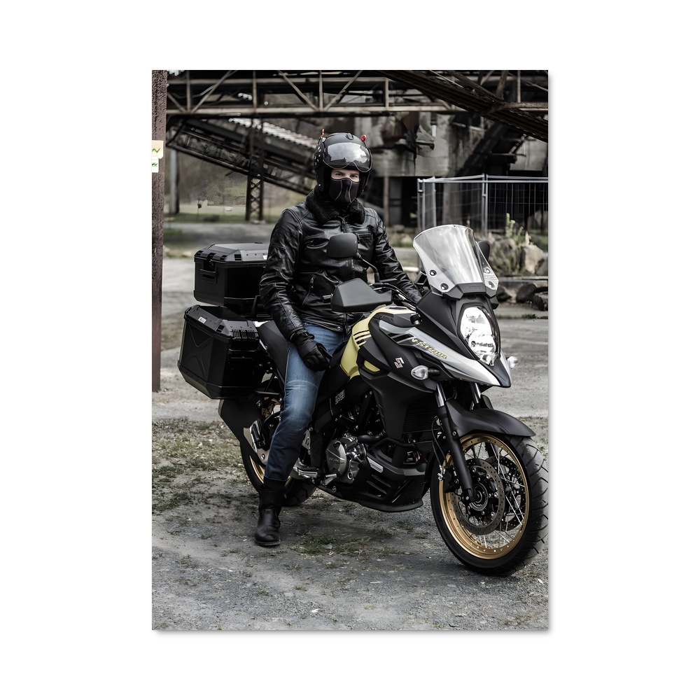 Poster magnifique V-strom
